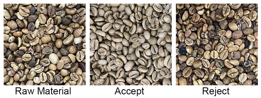 máquina de classificação de grãos de café amd