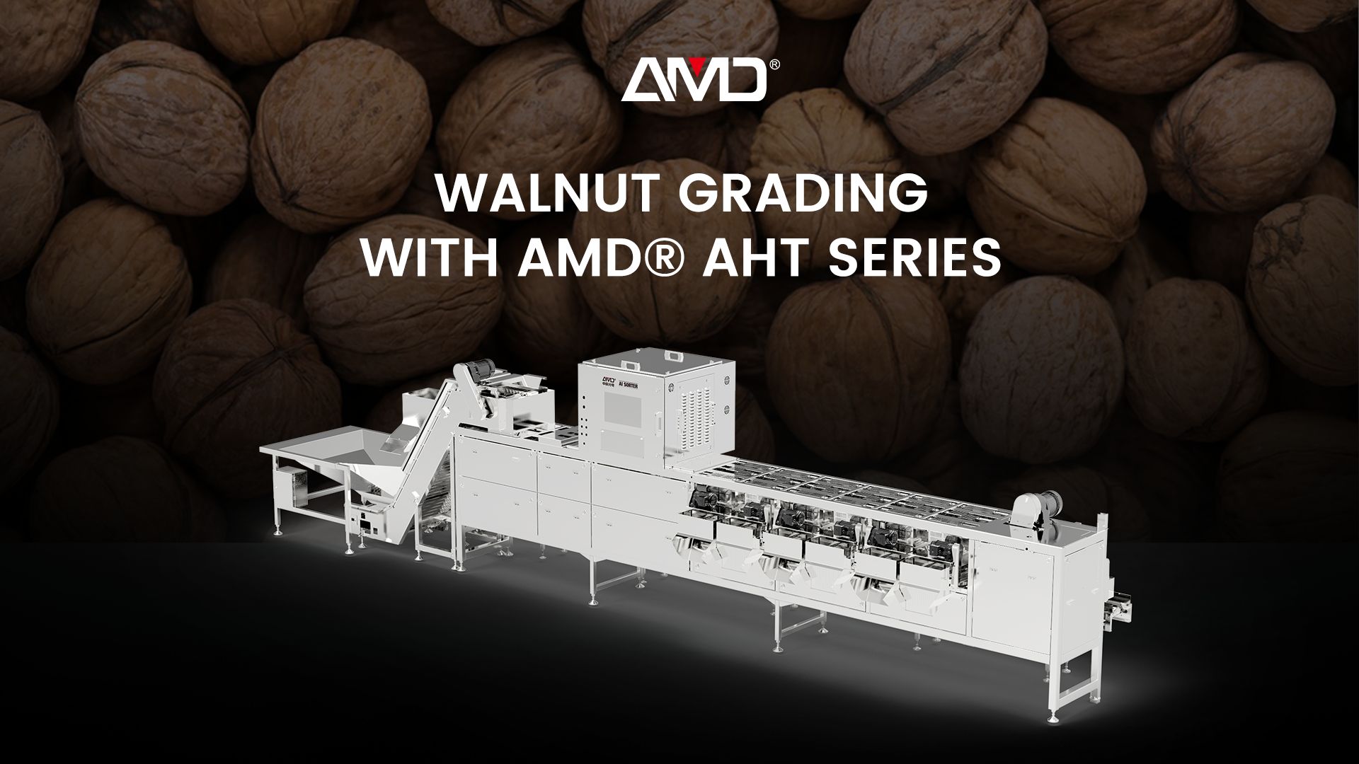 AMD® Série AHT | Máquina de classificação de nozes com casca