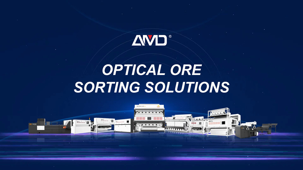 SOLUÇÕES DE ORTING AMD® 2025
