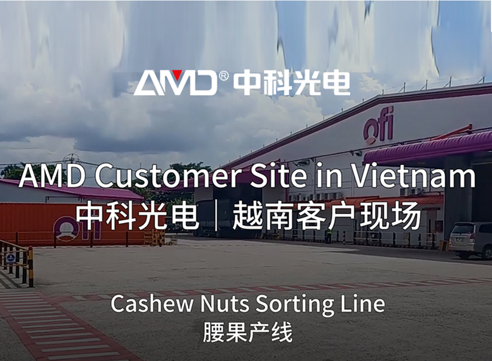 Processador de Castanhas de Caju do Vietnã Melhora a Produção com a Tecnologia de Classificação AMD®